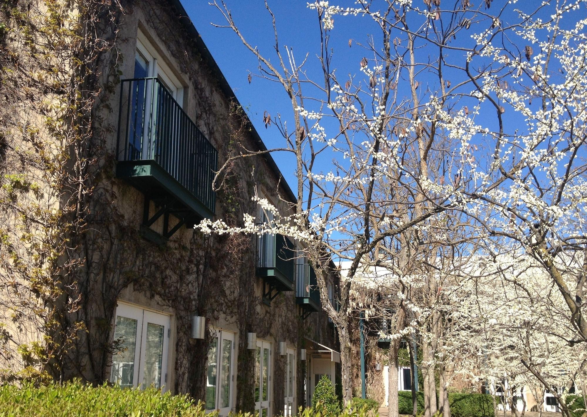 Southbridge Napa Valley St. Helena Eksteriør bilde